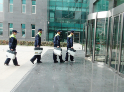 上海专业消杀服务